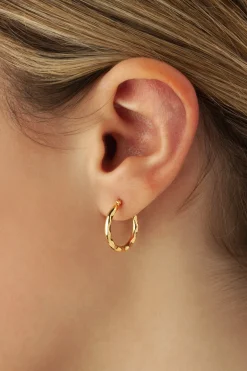 14K Yellow Gold Sm. Fancy Hoop Sd Earrings