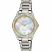 Lady's Citizen Eco Drive Watch