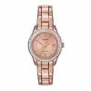Lady's Citizen Eco Drive Watch