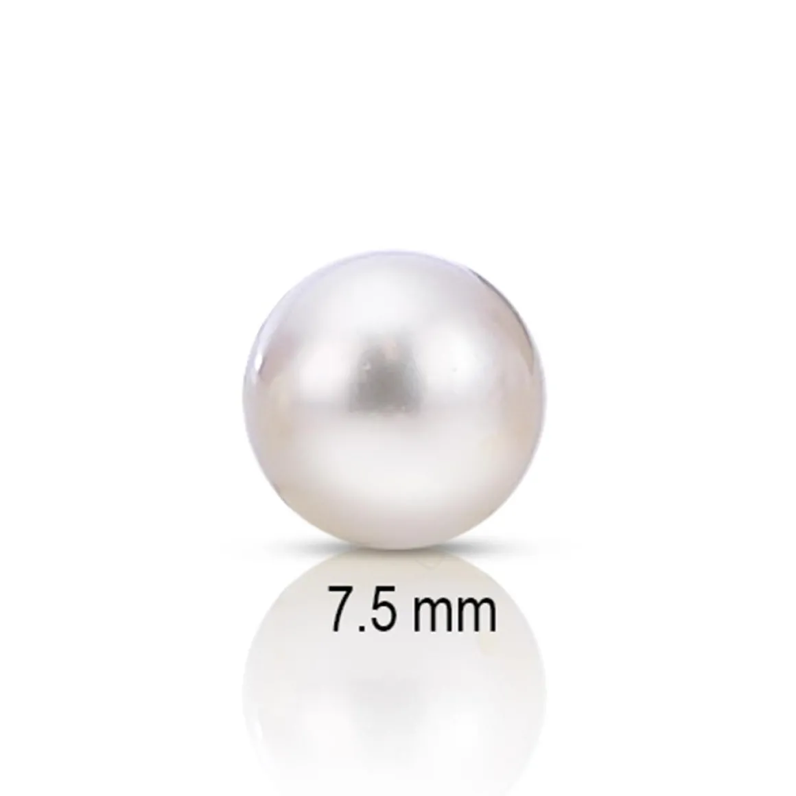 7.5mm Premium Japanese Akoya Add-A-Pearl